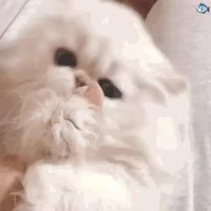 亚洲AV无码偷拍在线观看
