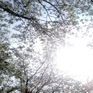 亚洲AV无码偷拍在线观看
